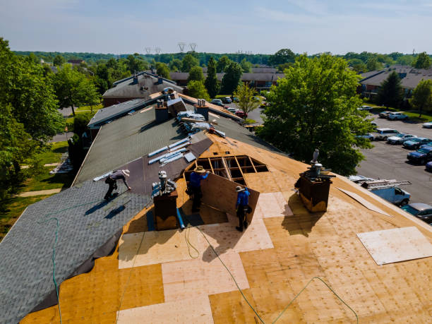 24/7 Emergency Metal Roofing experts in Holly, MI